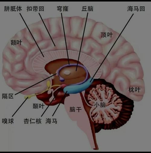 反脑控的四个绝招