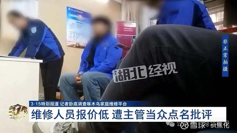 在啄木鸟维修干了半年怎么样