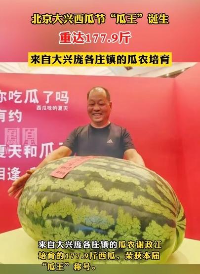 和出大西瓜赚钱