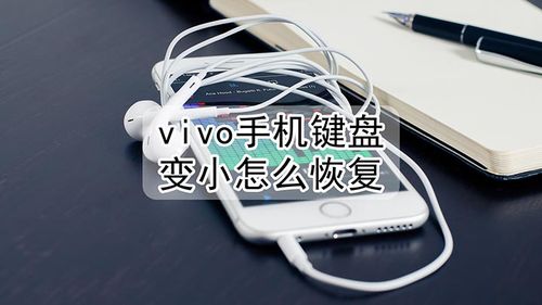 vivo手机打字键盘变小了怎么办图标