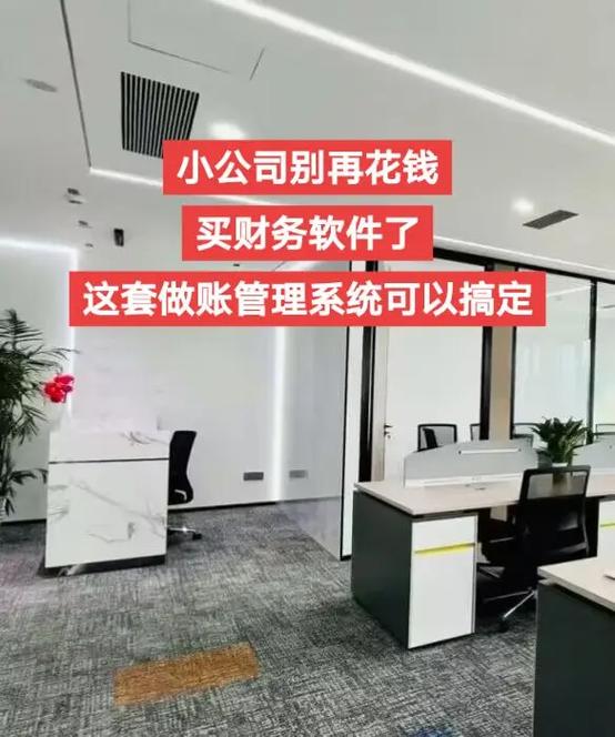 小公司有必要买财务软件吗