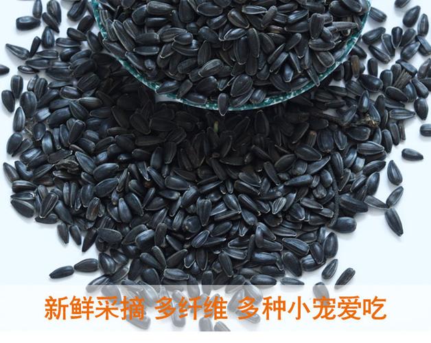 特别小的黑色瓜子叫什么