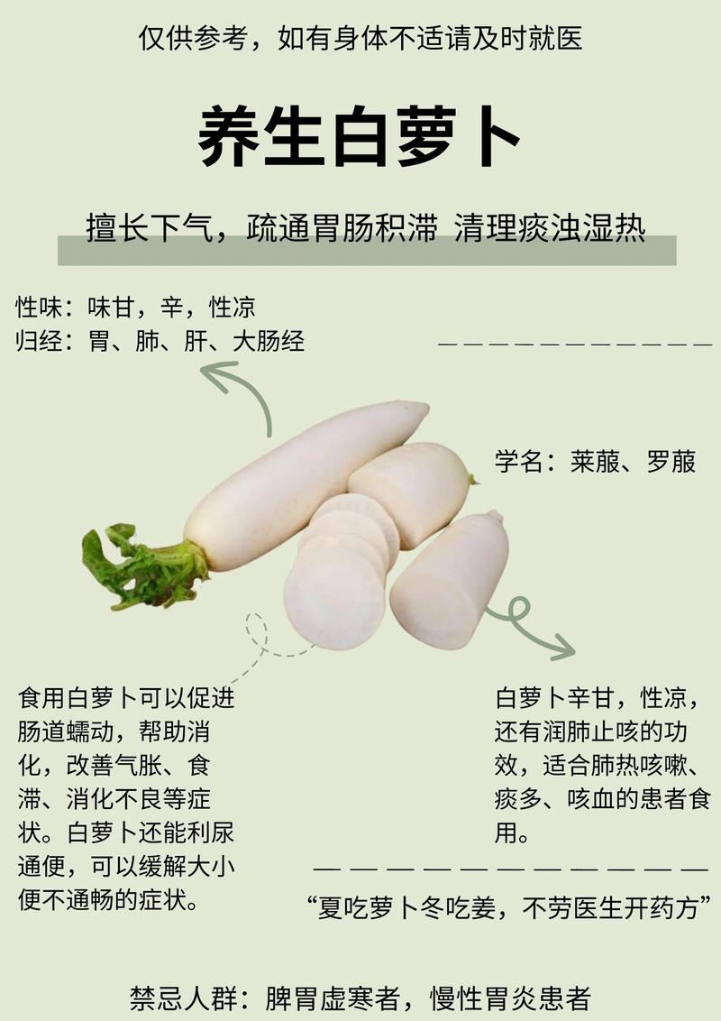 农村种白萝卜赚钱吗