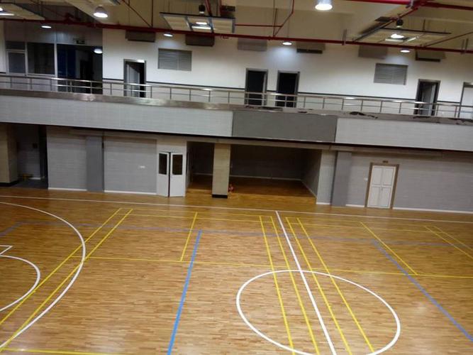 爱奇艺体育赛事平台全屏观看游戏截图