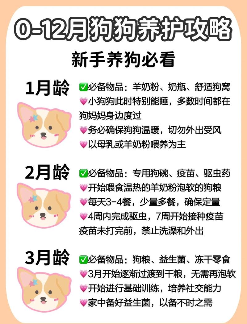 欢乐海湾怎么养狗