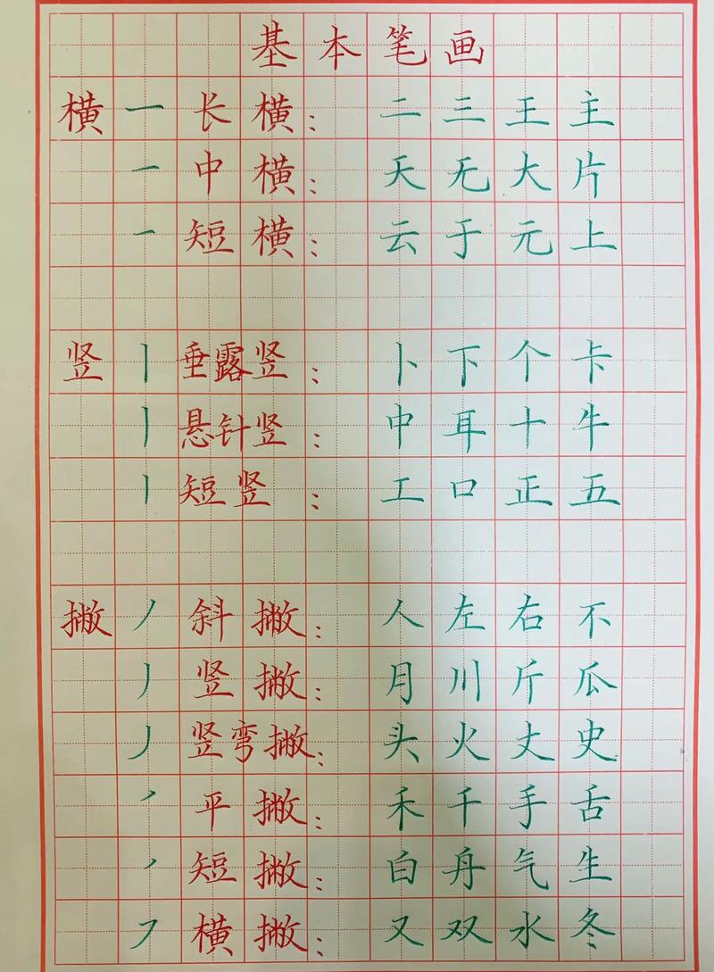 养观赏虾的基本知识