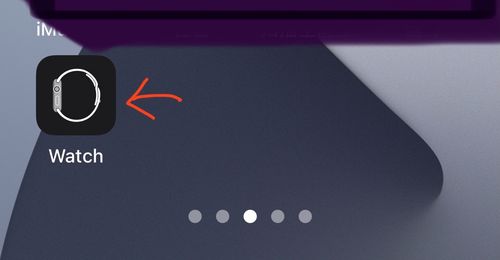 APP闪退