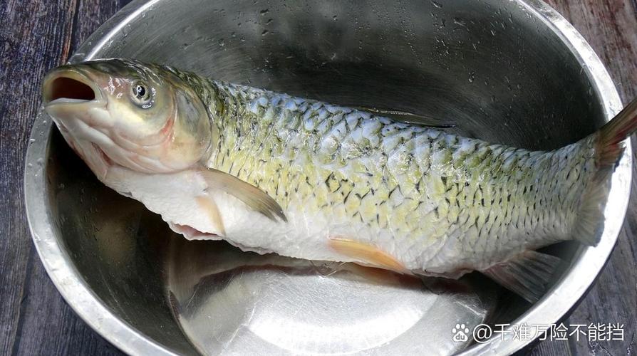 冻鱼去鱼鳞最好方法