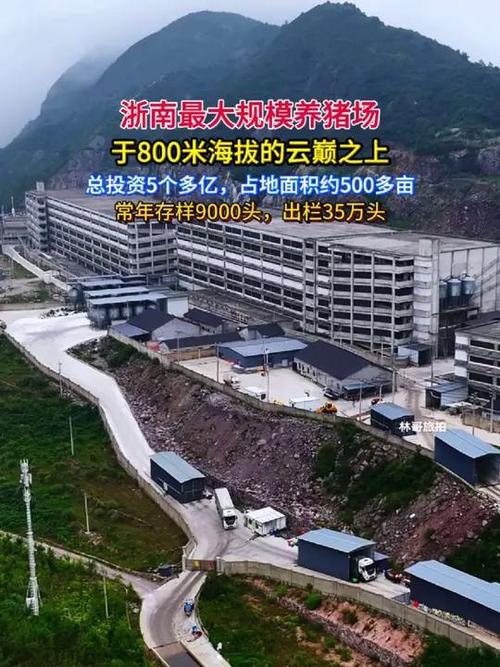 1000头养猪场投资多大