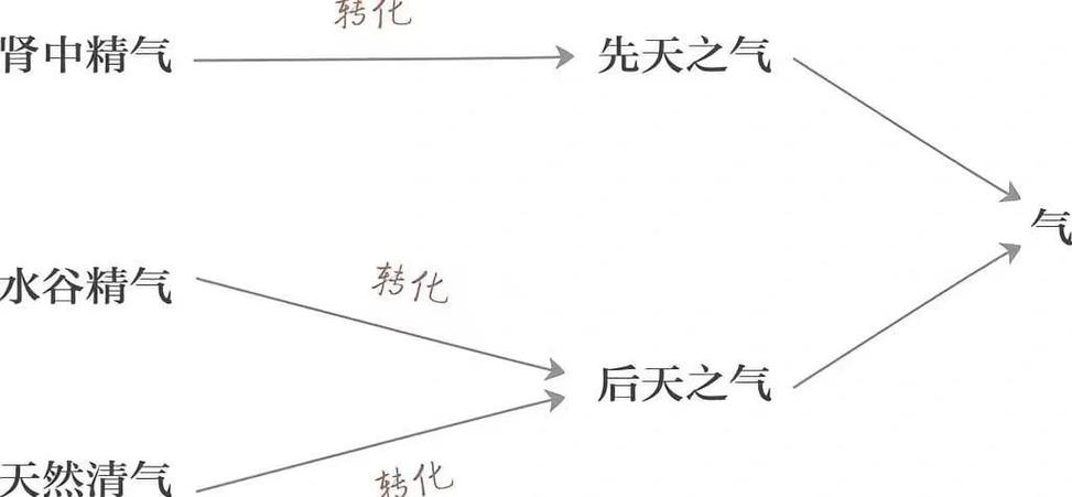 元气卫气营气宗气什么意思