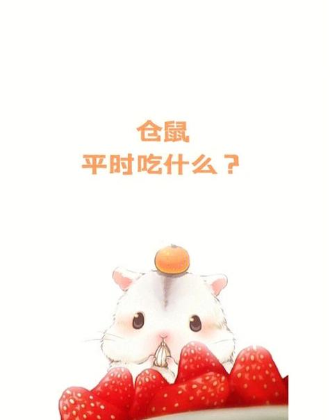 仓鼠可以吃什么