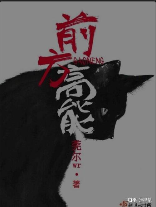 前方高能莞尔wr书包网