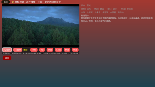 黑枫视界v3.2.2手机版