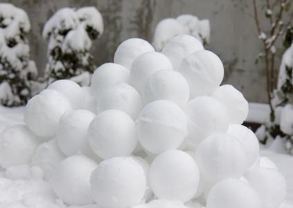 黄标雪球