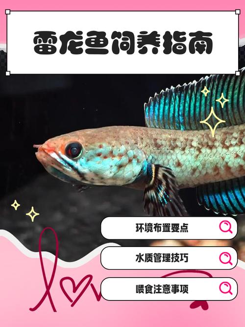 驯养方舟生存进化雷龙的方法
