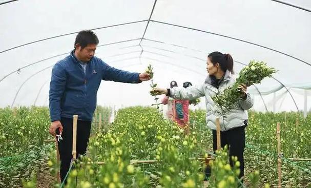 农村致富做什么