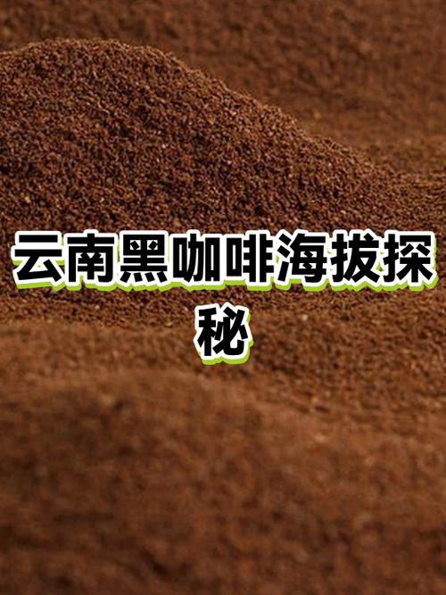 云南黑咖啡哪个品牌好游戏截图