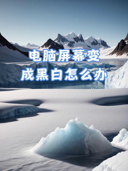电视变成了灰白屏怎么办