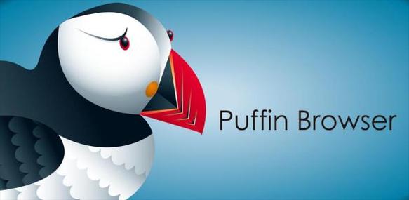 puffin未连接任何网络