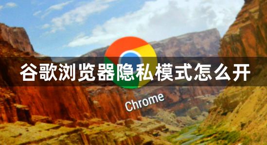google隐私