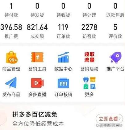 拼多多卖什么最赚钱