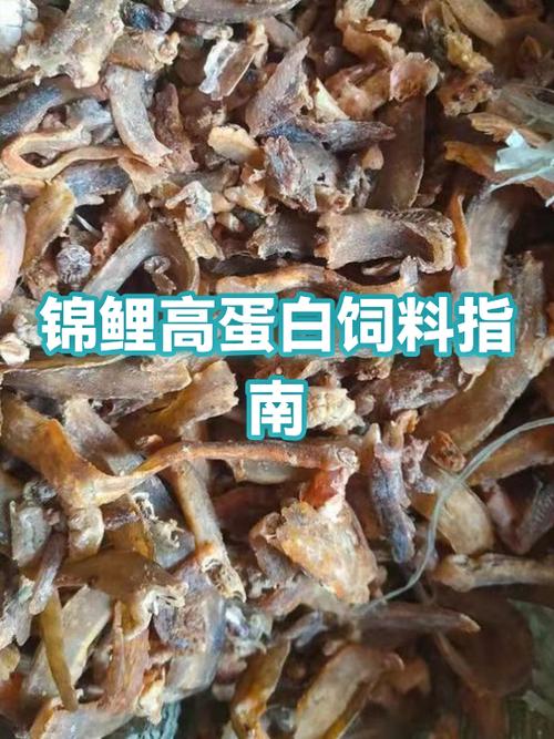 锦鲤鱼饲料买哪种牌子好