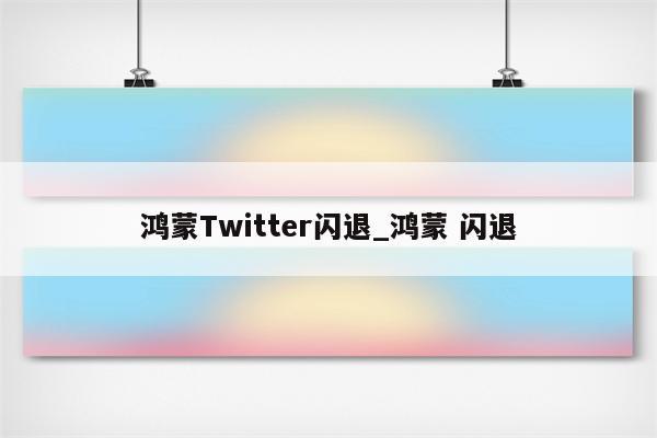 twitter闪退