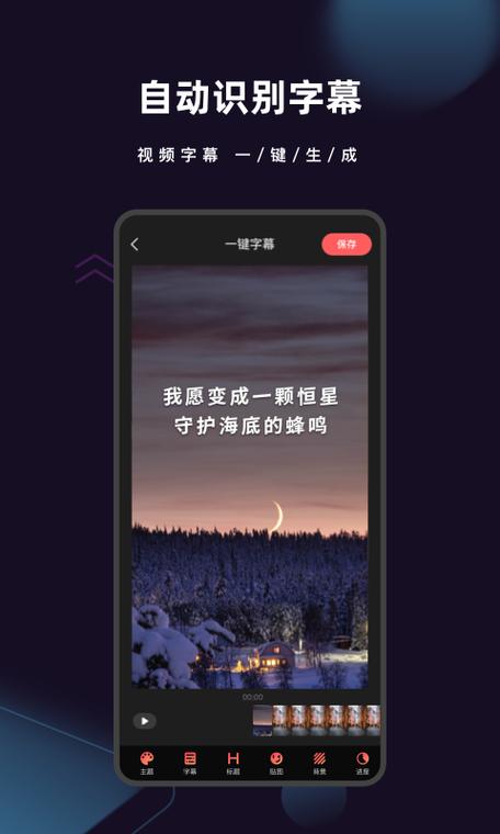 爱字幕已付费版