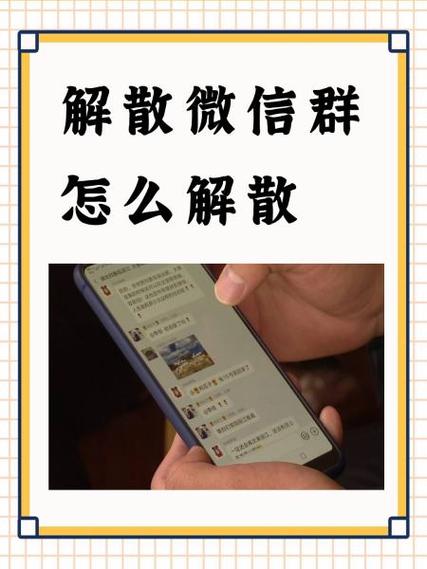 群主怎样解散自己建立的群聊游戏截图