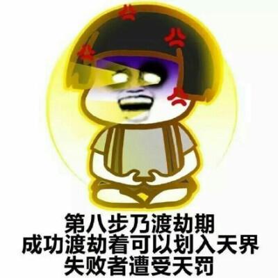 我即是天罚表情包