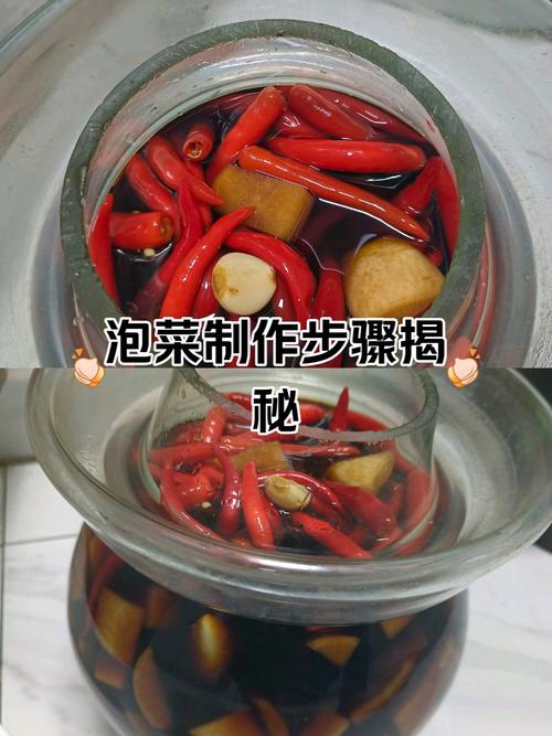 泡菜制作视频