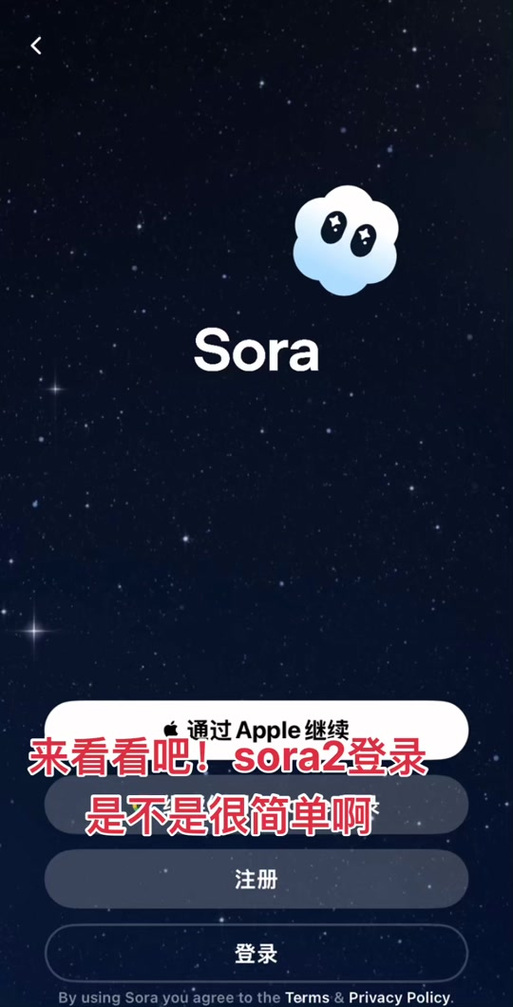 sora官网入口安卓