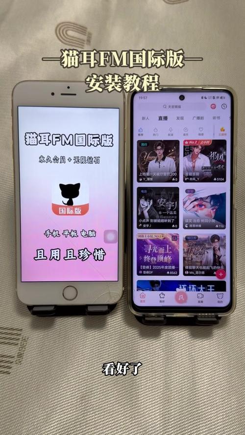猫耳fm为啥买了会员还要付费呢