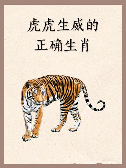 赞美属虎的成语