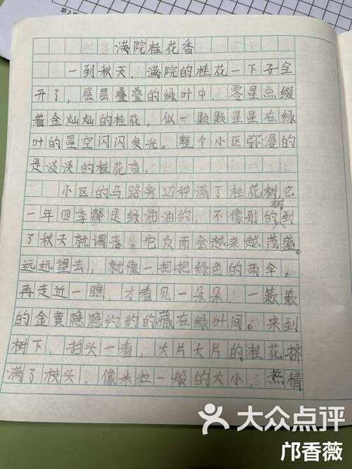 火车站作文