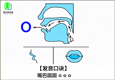 汉语拼音o的教学视频