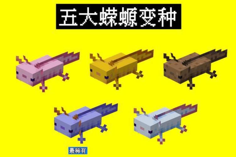 我的世界十大稀有生物