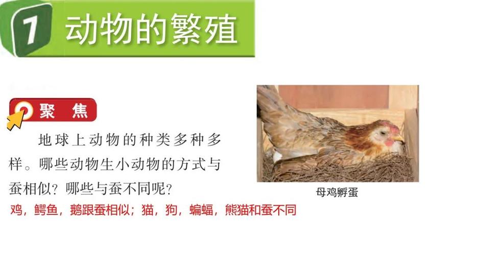 不同种类的动物可以繁殖吗