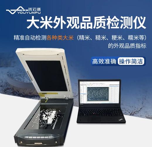 大米没发霉,但是有异味