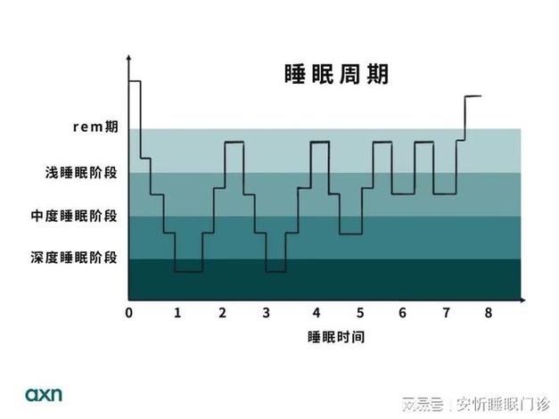 深睡占比多少比较好缩略图
