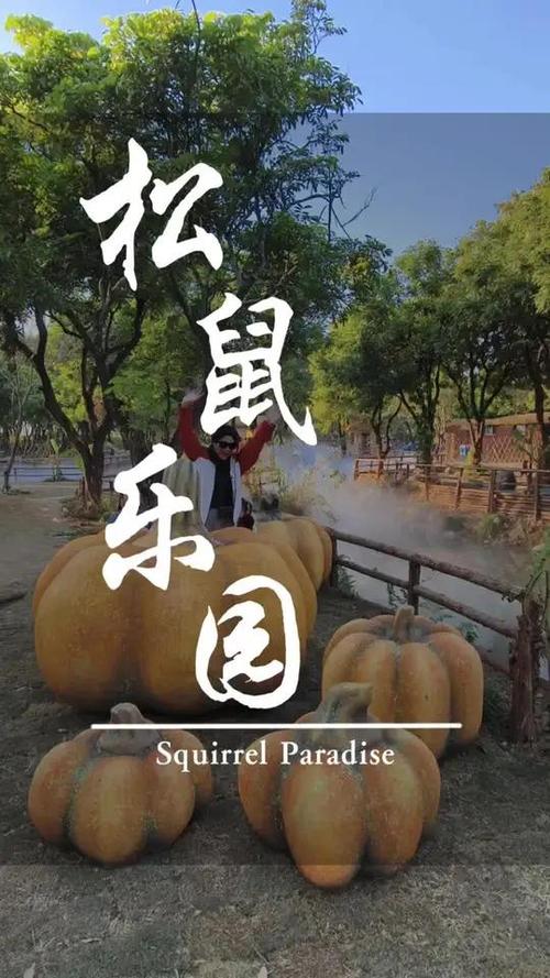 漳州松鼠部落好玩吗截图
