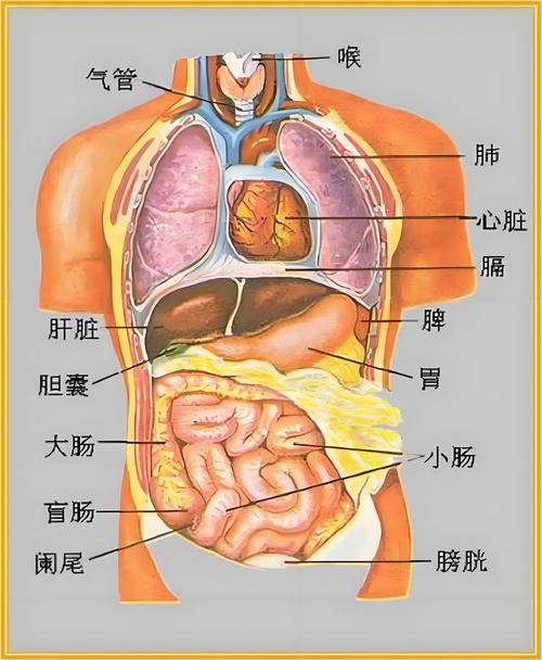 78加速器官网