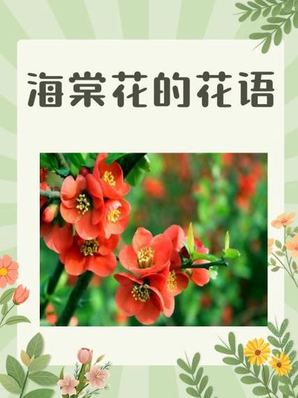 海棠的花语