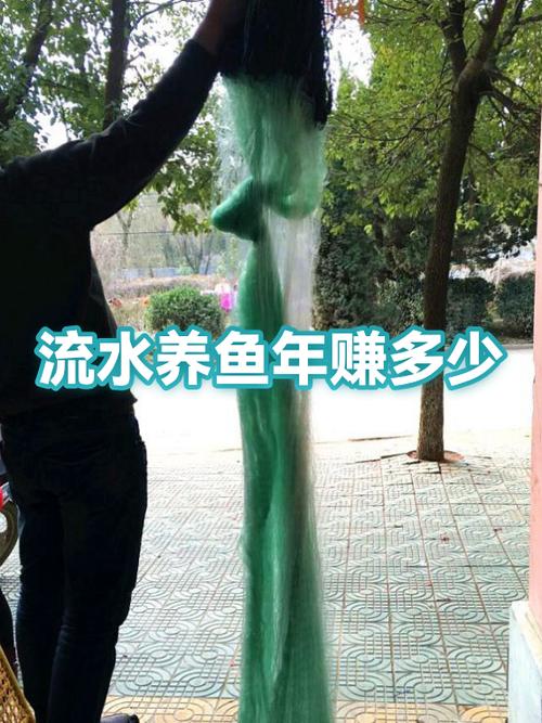 养鱼一年能赚多少钱