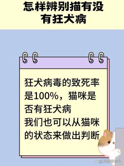 91tv有没有病毒图标