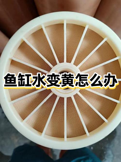 鱼缸水变浑浊怎么处理