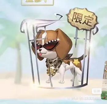 第五人格随从小狼
