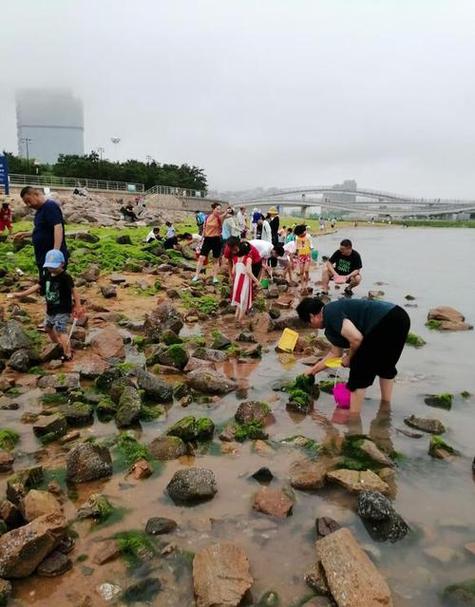 青岛赶海缩略图
