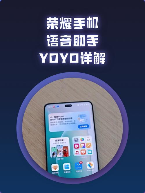 荣耀语音助手在线状态截图
