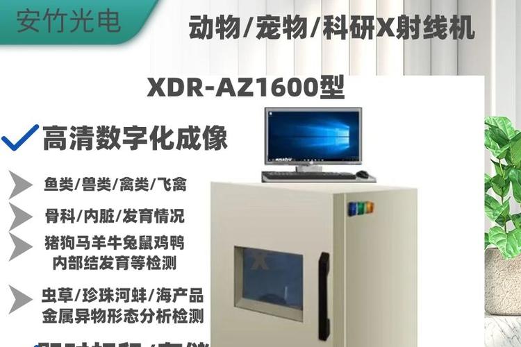 x光线多少钱